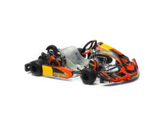 Briggs FS4 Senior – Master