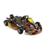 Briggs Mini