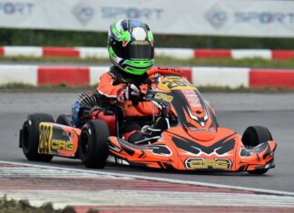 Domenico Coco – MINI