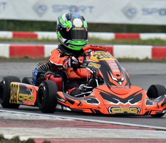 Domenico Coco – MINI