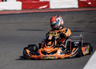 Ronnie Stefani – OK